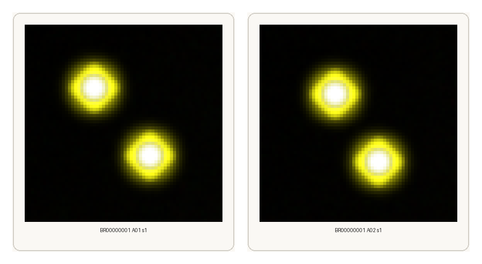 Segmentation preview outputs